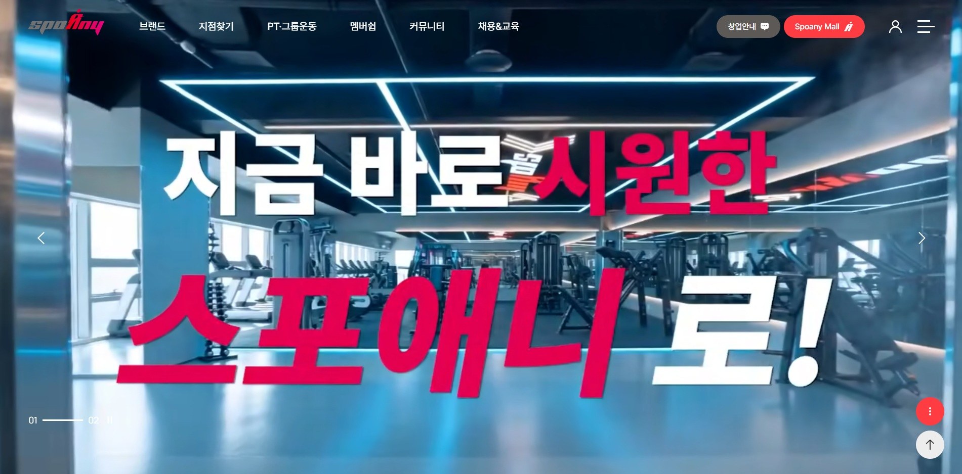 스포애니 화면 캡처