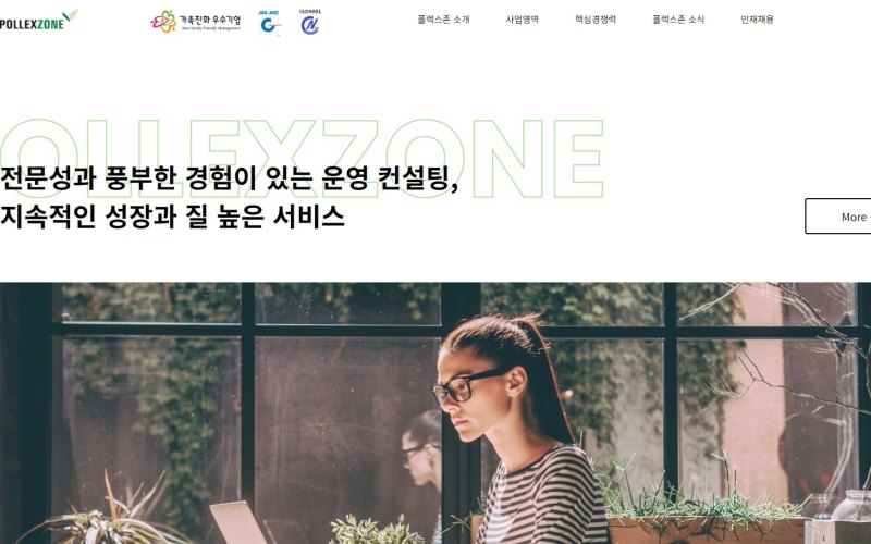 폴렉스존 화면